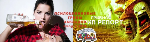 ГАЛЛЮЦИНОГЕННЫЕ ГРИБЫ Белокуриха