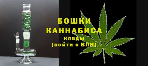 ГАЛЛЮЦИНОГЕННЫЕ ГРИБЫ Белокуриха