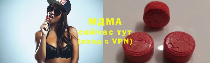 ГАЛЛЮЦИНОГЕННЫЕ ГРИБЫ Белокуриха