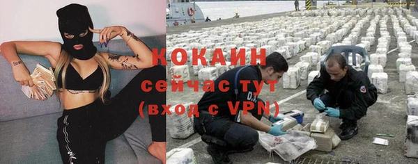 ГАЛЛЮЦИНОГЕННЫЕ ГРИБЫ Белокуриха