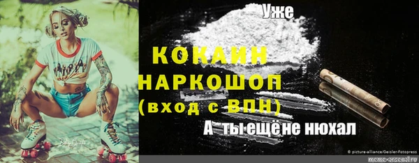ГАЛЛЮЦИНОГЕННЫЕ ГРИБЫ Белокуриха