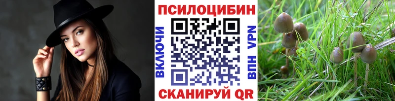 Псилоцибиновые грибы MAGIC MUSHROOMS  Ермолино 
